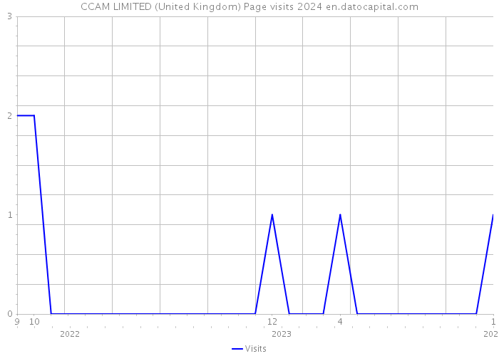 CCAM LIMITED (United Kingdom) Page visits 2024 