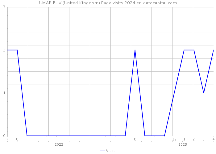 UMAR BUX (United Kingdom) Page visits 2024 