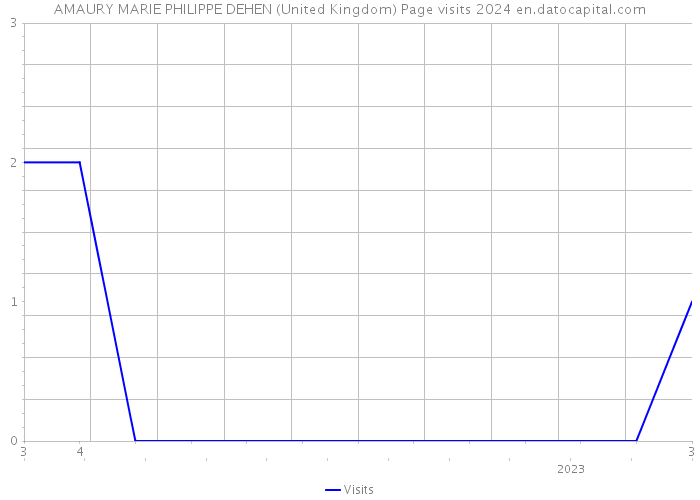 AMAURY MARIE PHILIPPE DEHEN (United Kingdom) Page visits 2024 