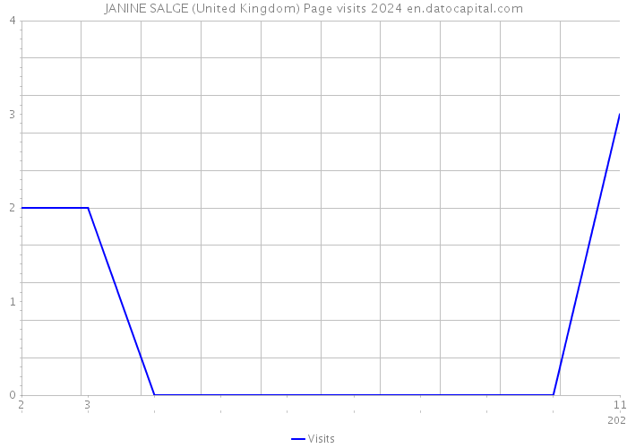 JANINE SALGE (United Kingdom) Page visits 2024 