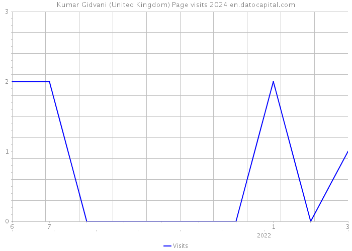 Kumar Gidvani (United Kingdom) Page visits 2024 