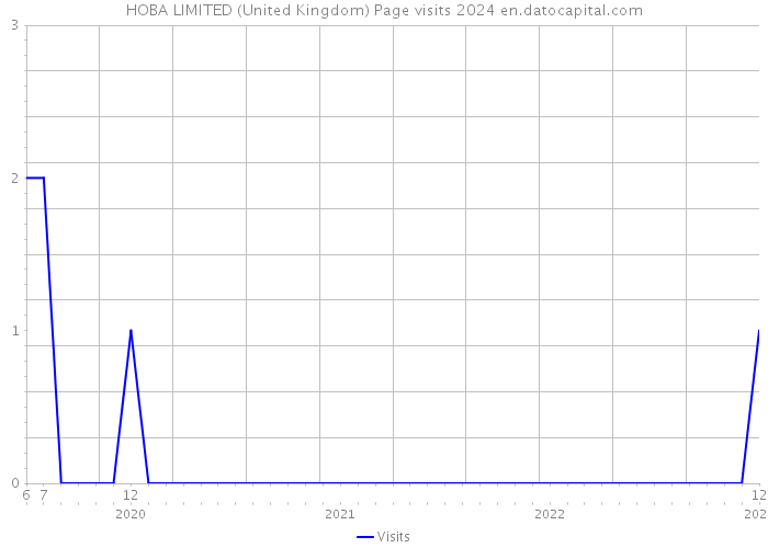 HOBA LIMITED (United Kingdom) Page visits 2024 