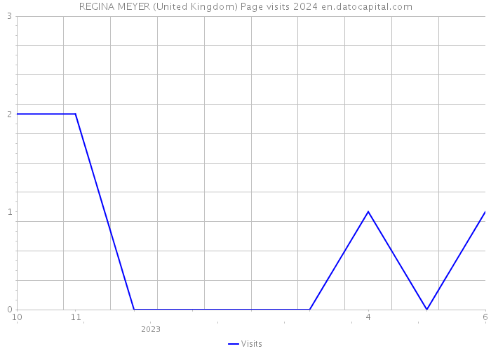 REGINA MEYER (United Kingdom) Page visits 2024 