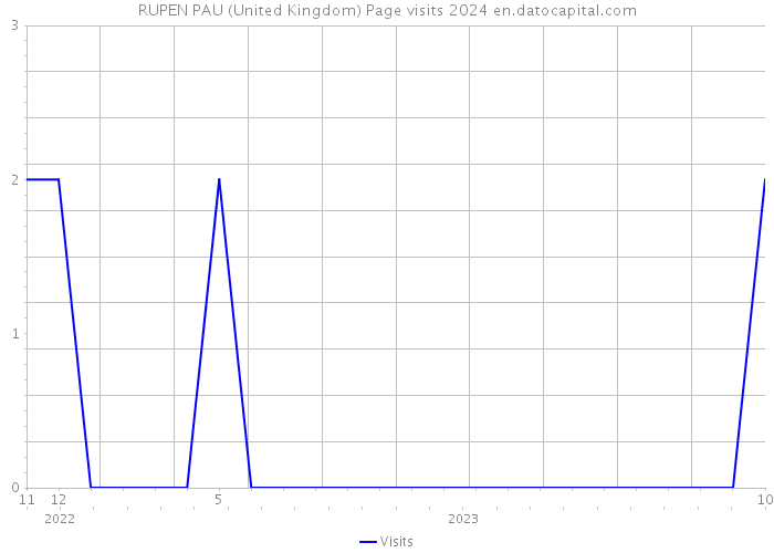 RUPEN PAU (United Kingdom) Page visits 2024 