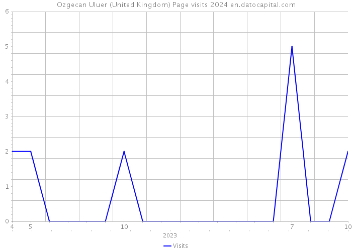 Ozgecan Uluer (United Kingdom) Page visits 2024 