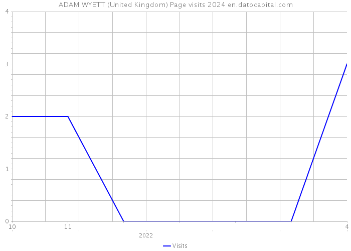 ADAM WYETT (United Kingdom) Page visits 2024 