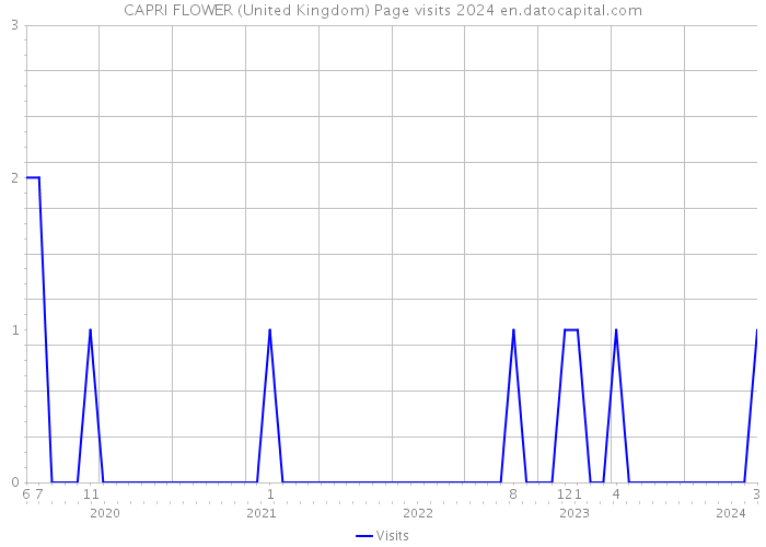 CAPRI FLOWER (United Kingdom) Page visits 2024 