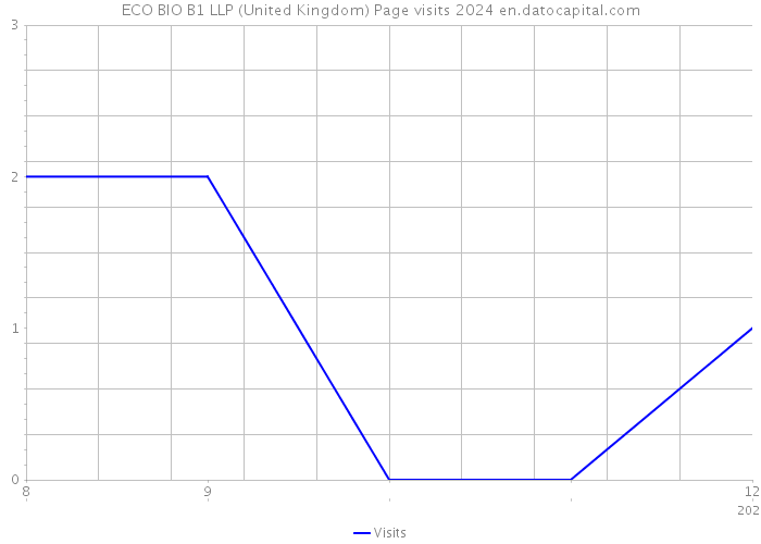 ECO BIO B1 LLP (United Kingdom) Page visits 2024 