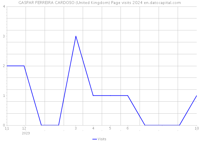 GASPAR FERREIRA CARDOSO (United Kingdom) Page visits 2024 