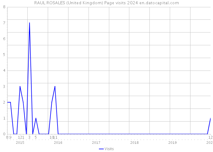 RAUL ROSALES (United Kingdom) Page visits 2024 
