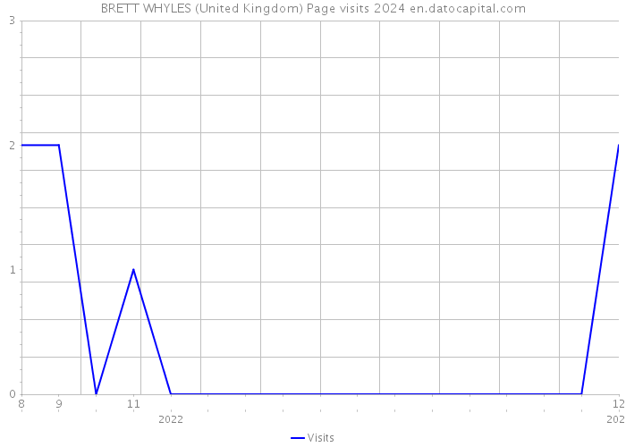 BRETT WHYLES (United Kingdom) Page visits 2024 