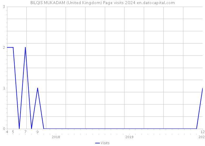 BILQIS MUKADAM (United Kingdom) Page visits 2024 