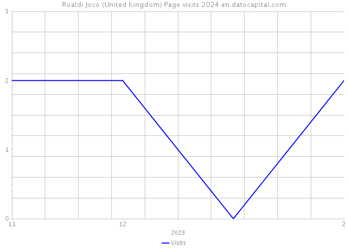 Roaldi Joco (United Kingdom) Page visits 2024 