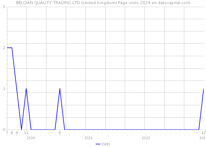 BELGIAN QUALITY TRADING LTD (United Kingdom) Page visits 2024 