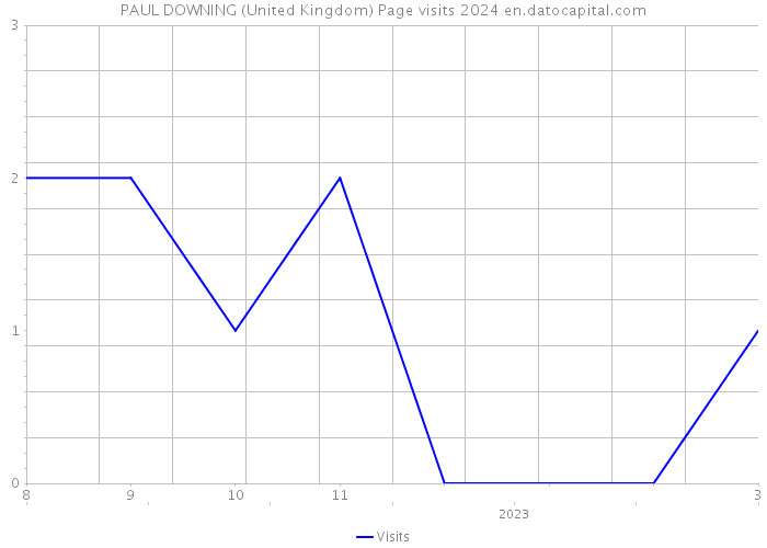 PAUL DOWNING (United Kingdom) Page visits 2024 