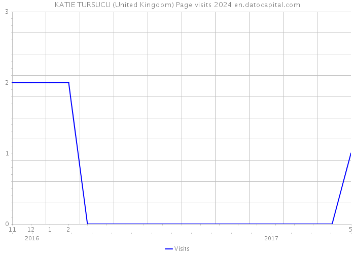 KATIE TURSUCU (United Kingdom) Page visits 2024 