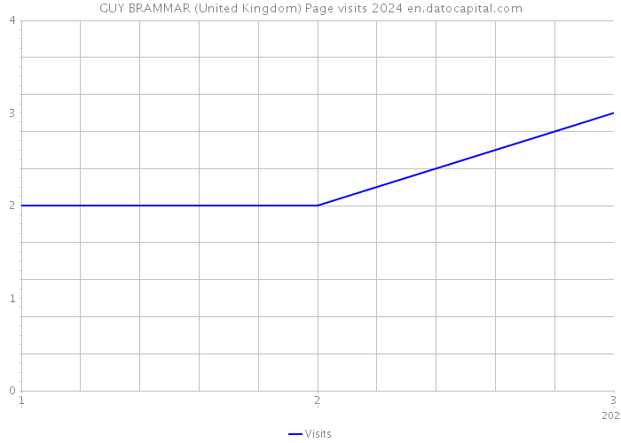 GUY BRAMMAR (United Kingdom) Page visits 2024 