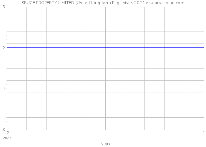 BRUCE PROPERTY LIMITED (United Kingdom) Page visits 2024 