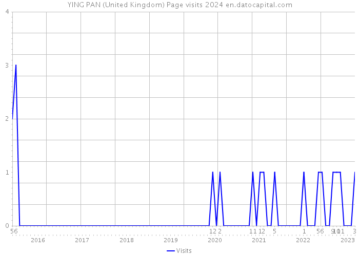 YING PAN (United Kingdom) Page visits 2024 