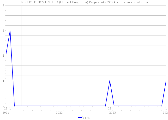 IRIS HOLDINGS LIMITED (United Kingdom) Page visits 2024 