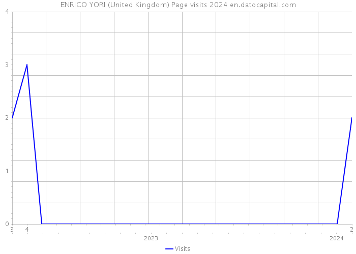 ENRICO YORI (United Kingdom) Page visits 2024 