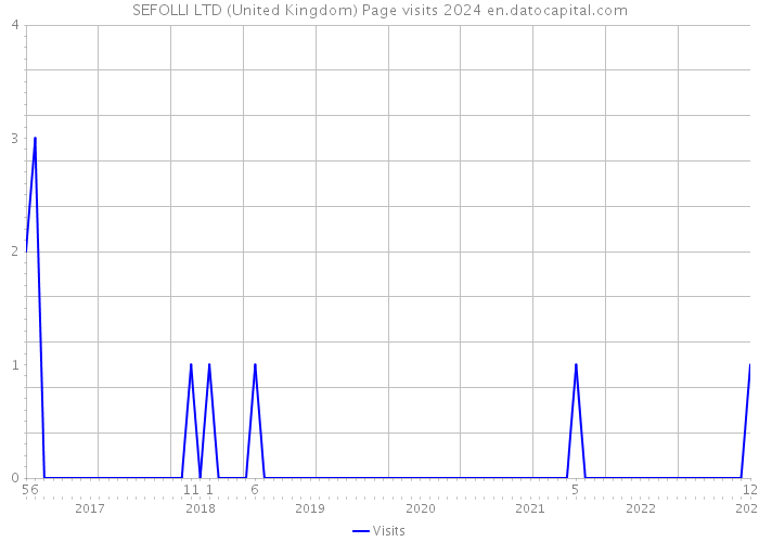 SEFOLLI LTD (United Kingdom) Page visits 2024 