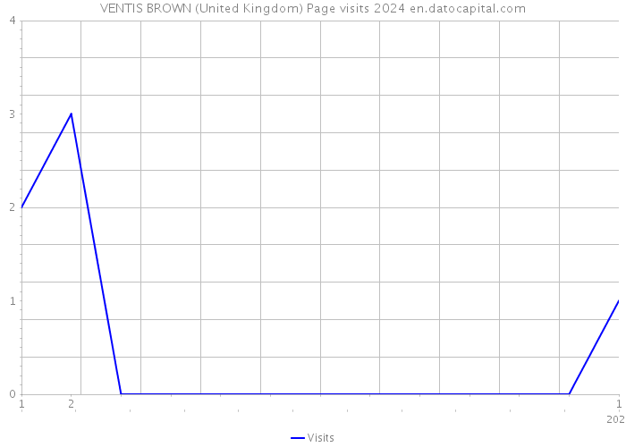 VENTIS BROWN (United Kingdom) Page visits 2024 