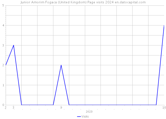 Junior Amorim Fogaca (United Kingdom) Page visits 2024 