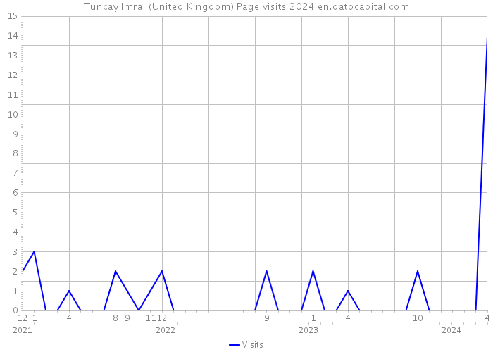 Tuncay Imral (United Kingdom) Page visits 2024 