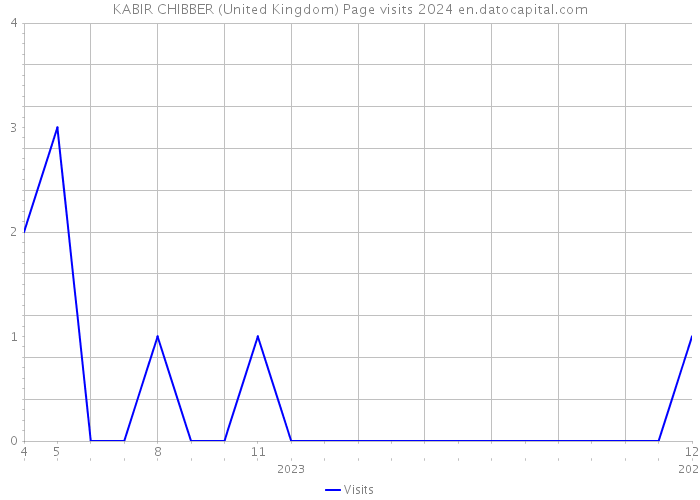 KABIR CHIBBER (United Kingdom) Page visits 2024 