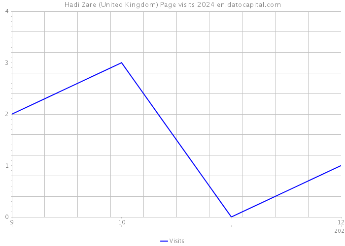 Hadi Zare (United Kingdom) Page visits 2024 