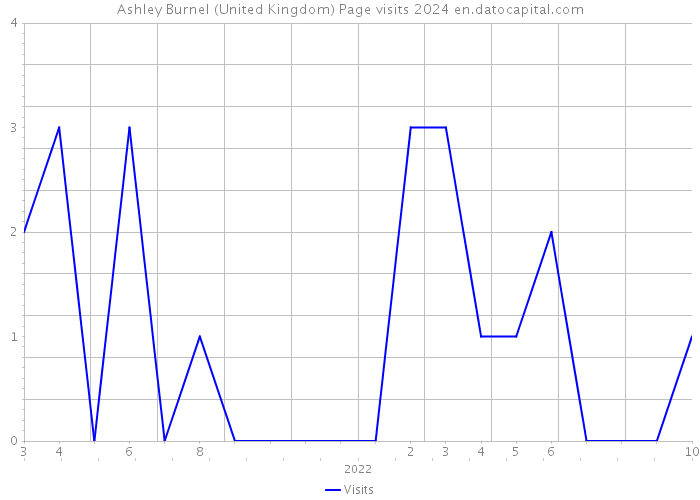 Ashley Burnel (United Kingdom) Page visits 2024 
