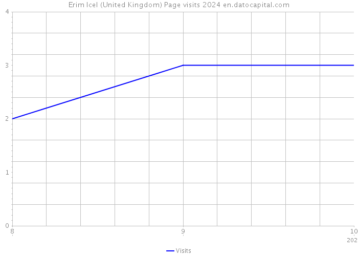 Erim Icel (United Kingdom) Page visits 2024 