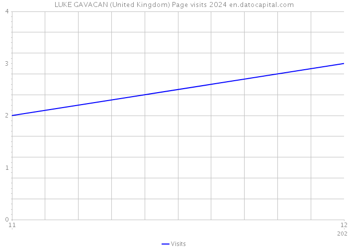 LUKE GAVACAN (United Kingdom) Page visits 2024 
