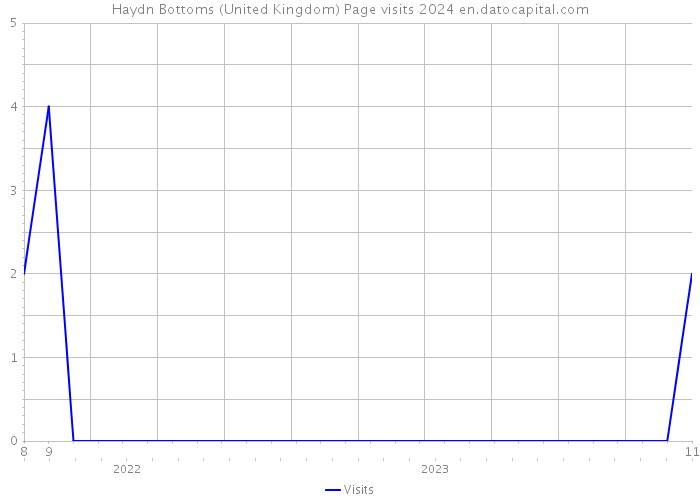 Haydn Bottoms (United Kingdom) Page visits 2024 