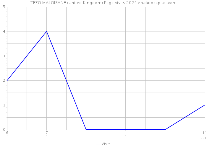TEFO MALOISANE (United Kingdom) Page visits 2024 