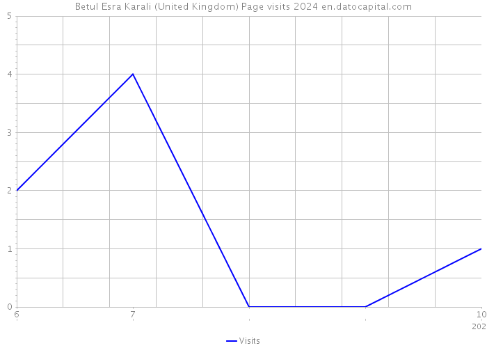 Betul Esra Karali (United Kingdom) Page visits 2024 