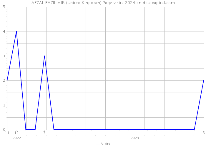 AFZAL FAZIL MIR (United Kingdom) Page visits 2024 
