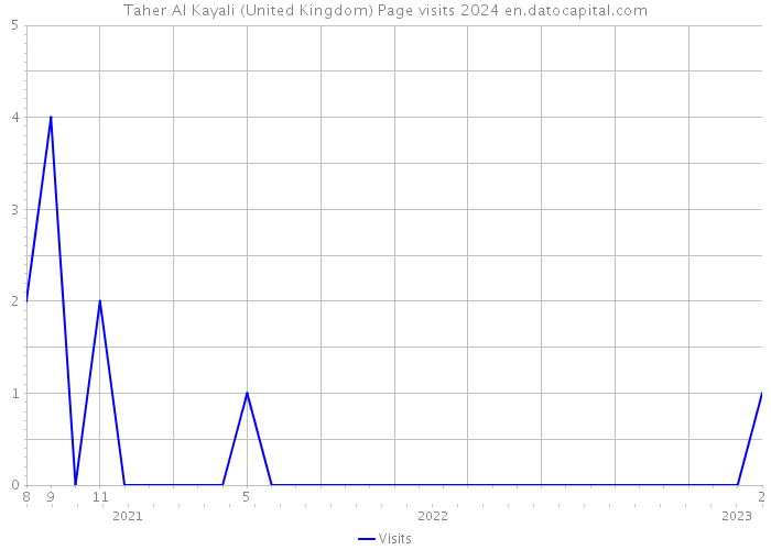 Taher Al Kayali (United Kingdom) Page visits 2024 