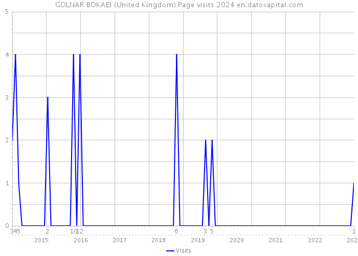 GOLNAR BOKAEI (United Kingdom) Page visits 2024 