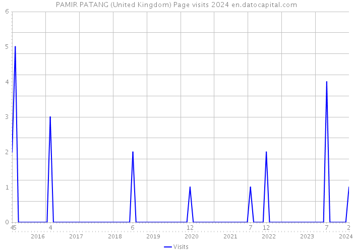 PAMIR PATANG (United Kingdom) Page visits 2024 