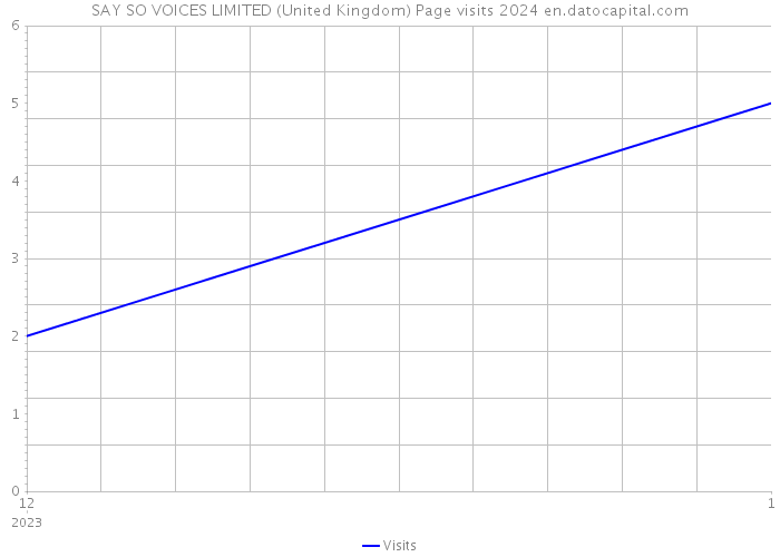 SAY SO VOICES LIMITED (United Kingdom) Page visits 2024 