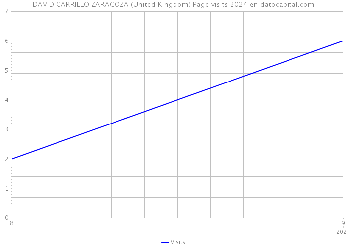 DAVID CARRILLO ZARAGOZA (United Kingdom) Page visits 2024 