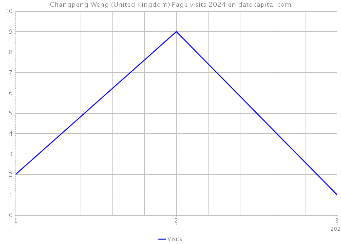 Changpeng Weng (United Kingdom) Page visits 2024 
