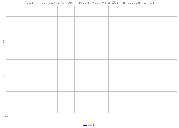 Adam James Fowkes (United Kingdom) Page visits 2024 