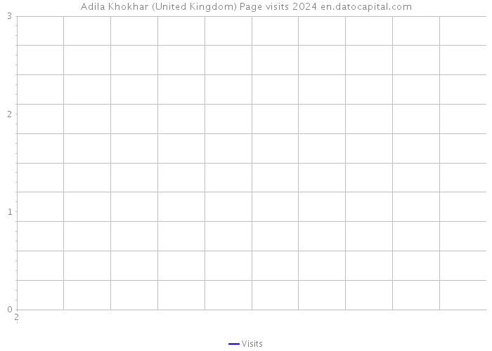 Adila Khokhar (United Kingdom) Page visits 2024 