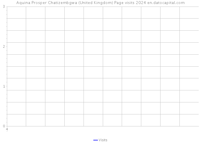Aquina Prosper Chatizembgwa (United Kingdom) Page visits 2024 