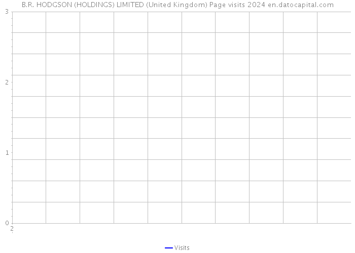 B.R. HODGSON (HOLDINGS) LIMITED (United Kingdom) Page visits 2024 