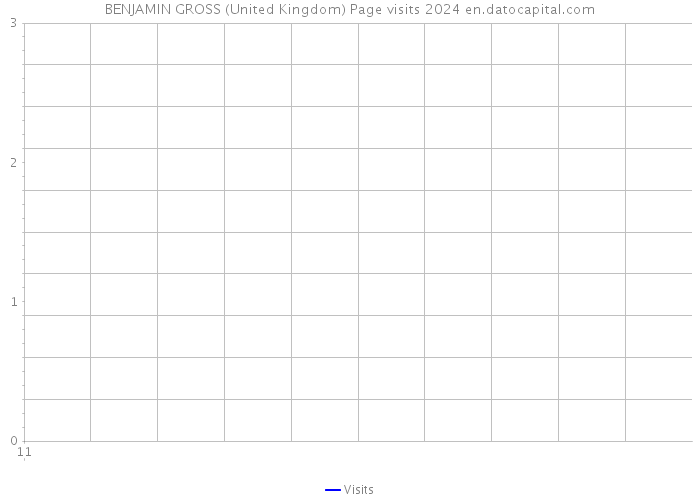 BENJAMIN GROSS (United Kingdom) Page visits 2024 