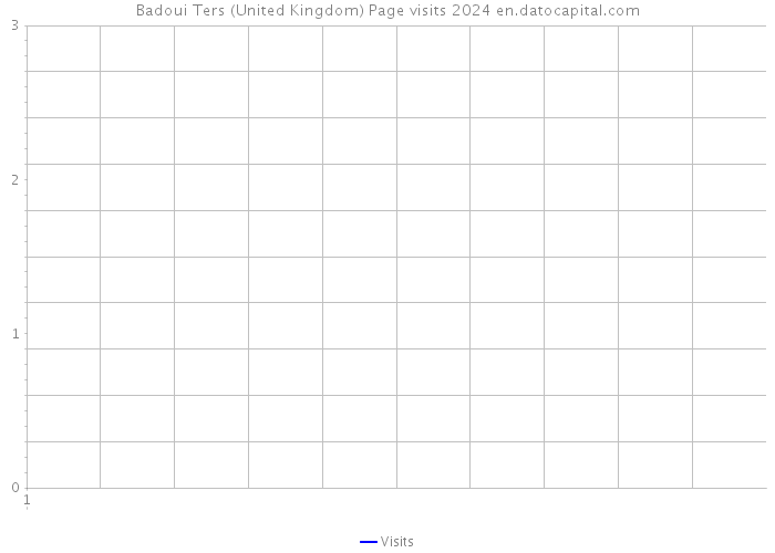 Badoui Ters (United Kingdom) Page visits 2024 